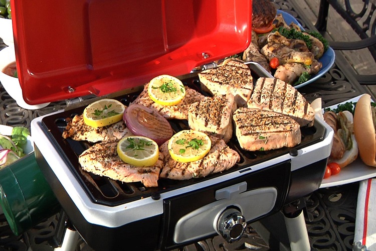 What’s the Best Small Propane Grill for 2024? Home and Garden Express